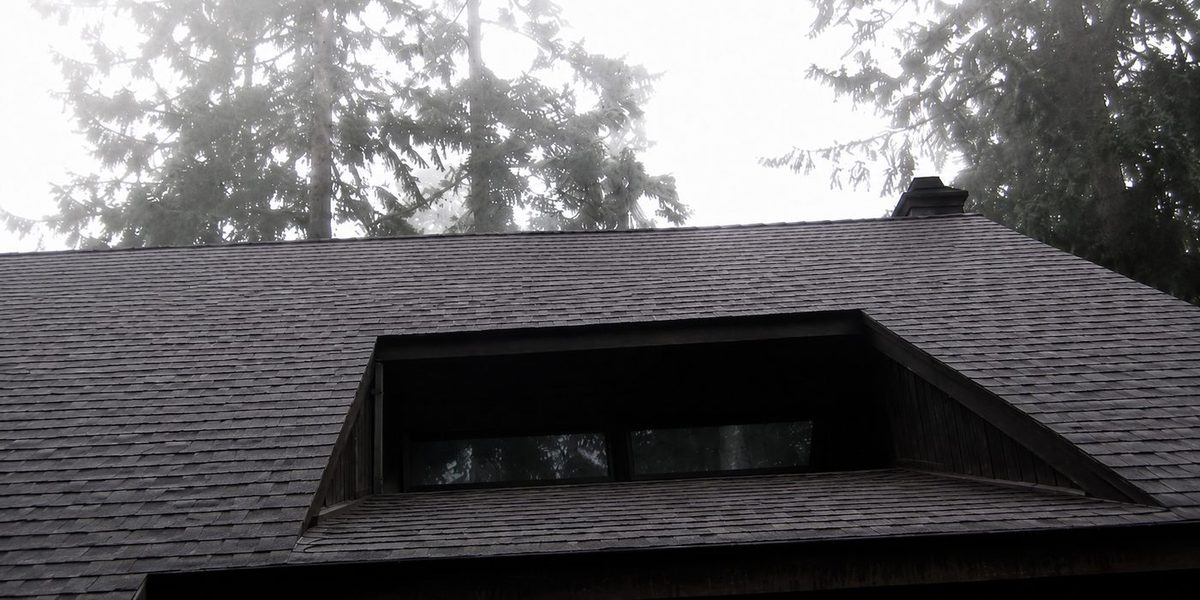 Same composition roof clean of moss and streaking after JNR Industries' eco-friendly moss treatment